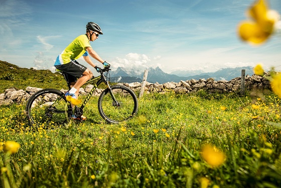 Cycling and Mountain biking